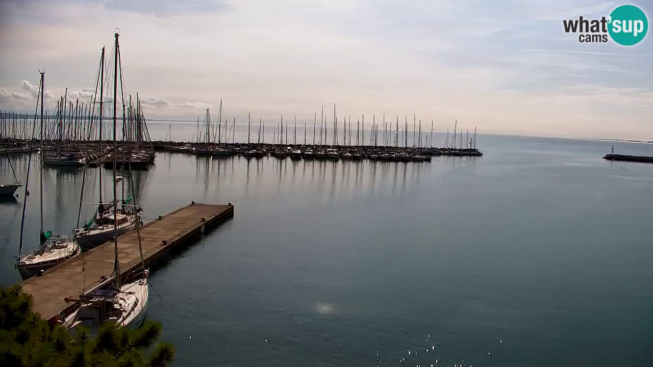 Webcam Sistiana Baia – Live View of the Marina and Gulf