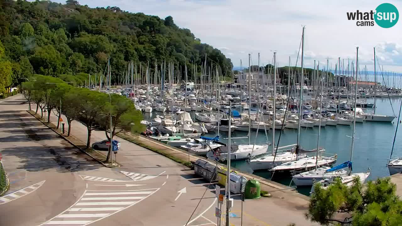 Webcam Sistiana Baia – Live View of the Marina and Gulf
