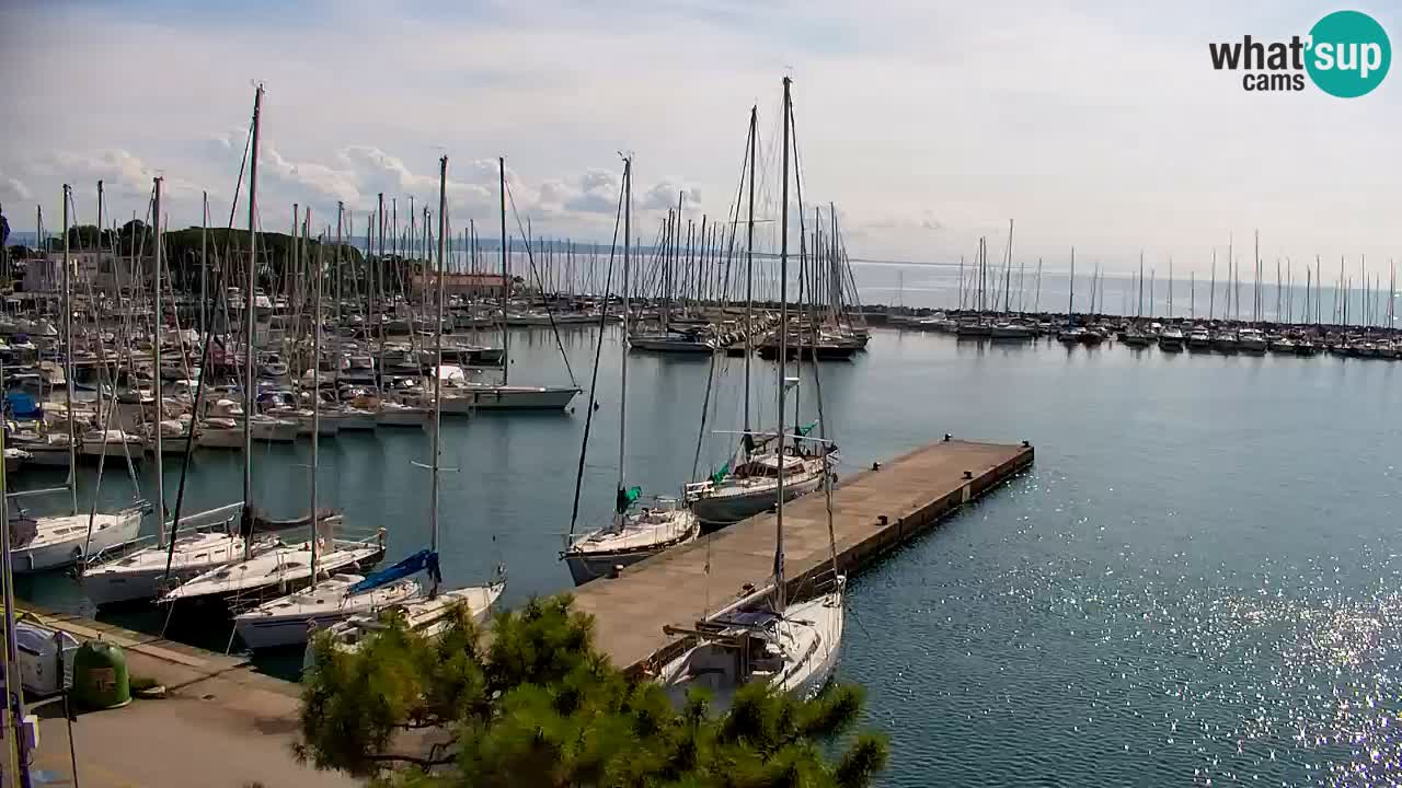 Webcam Baie de Sistiana – Vue en direct de la marina et de la baie