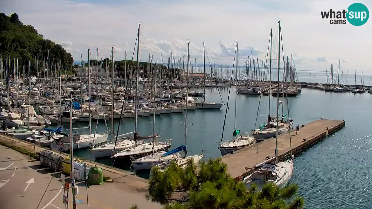 Webcam Bahía de Sistiana – Vista en directo del puerto deportivo y la costa