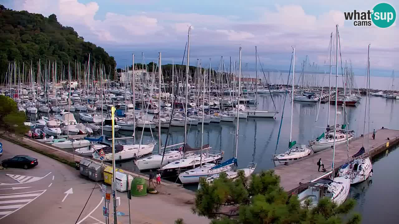 Webcam Sistiana Baia – Live View of the Marina and Gulf