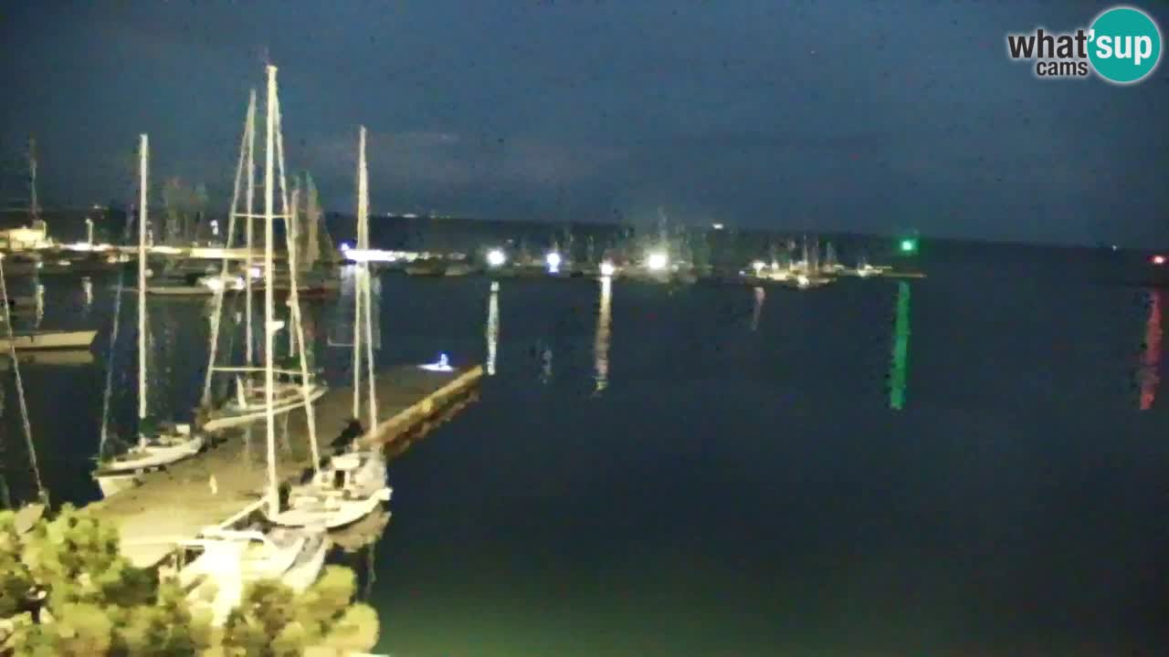 Webcam Sistiana Baia – Live View of the Marina and Gulf