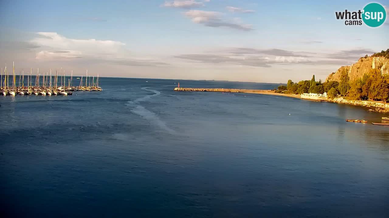Webcam Sistiana Baia – Live View of the Marina and Gulf