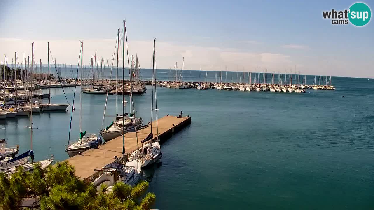 Spletna kamera Sesljanski zaliv – Pogled v živo na marino in zaliv