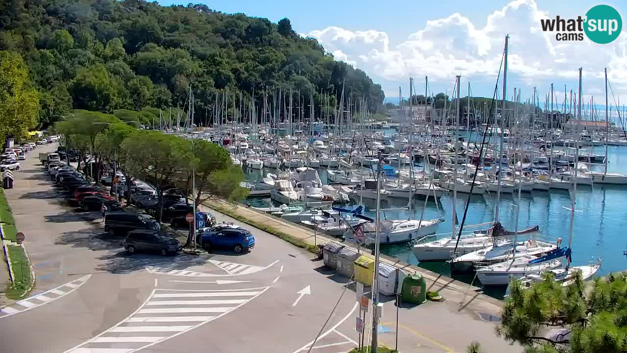 Webcam Sistiana Baia – Live View of the Marina and Gulf
