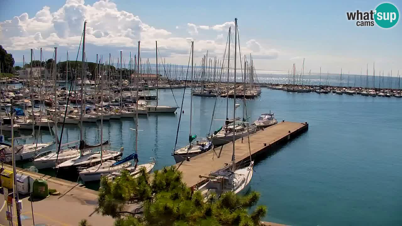 Webcam Sistiana Baia – Live View of the Marina and Gulf