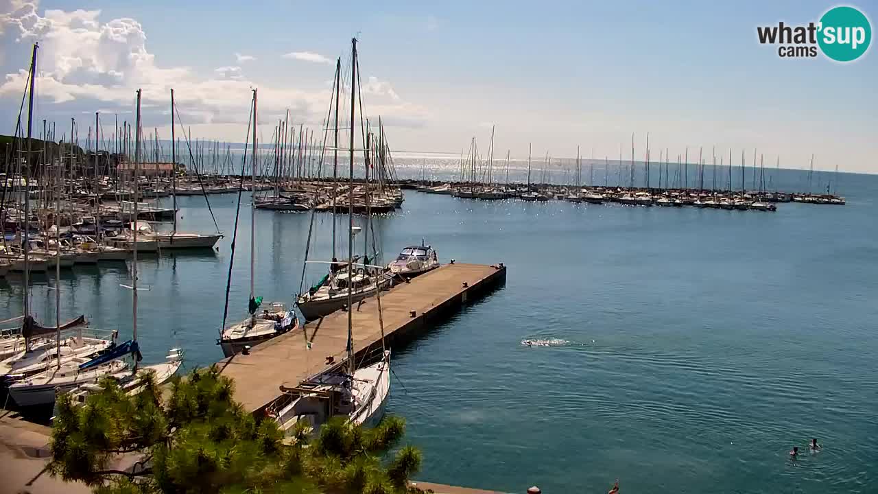 Webcam Sistiana Bucht – Liveblick auf Marina und Bucht