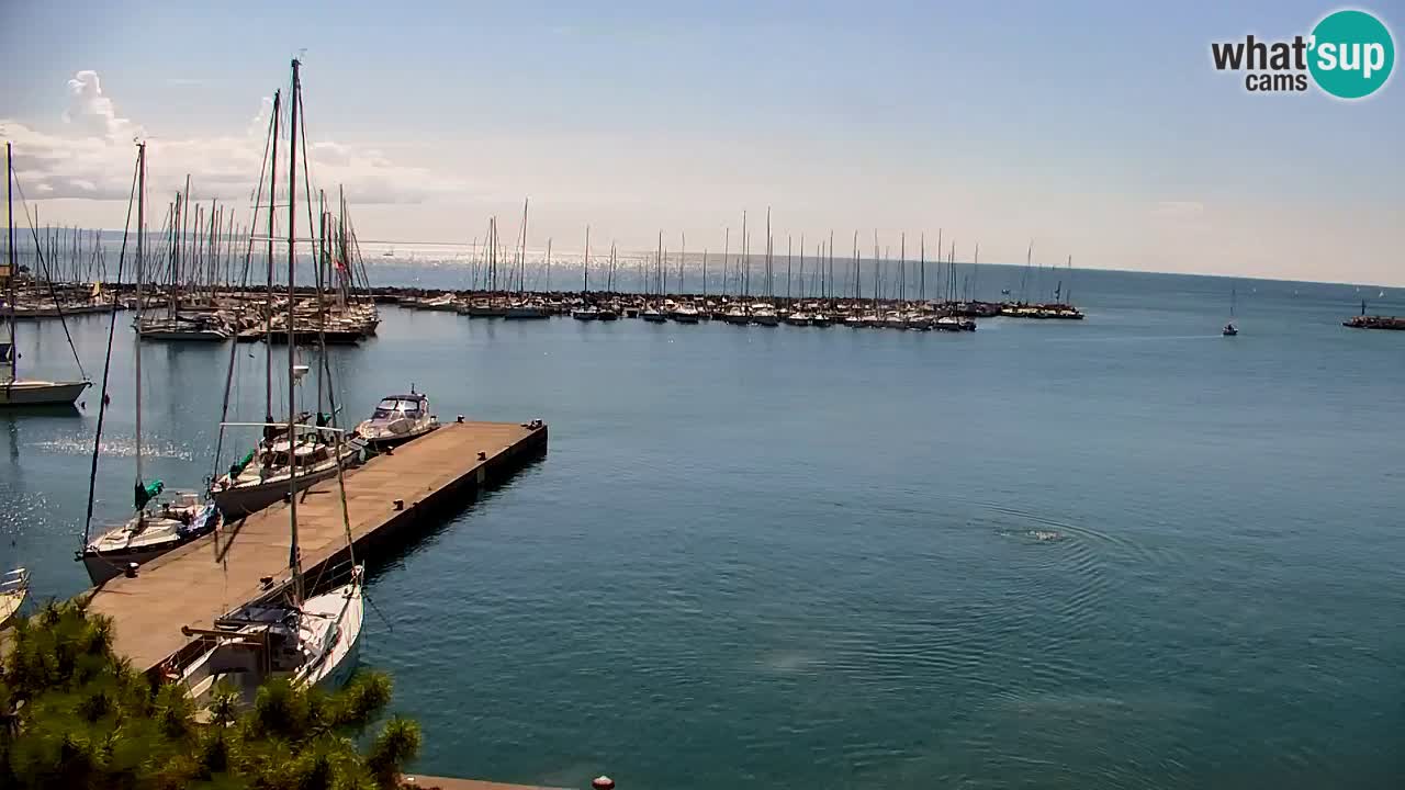 Webcam Baia di Sistiana – Marina e Golfo in diretta