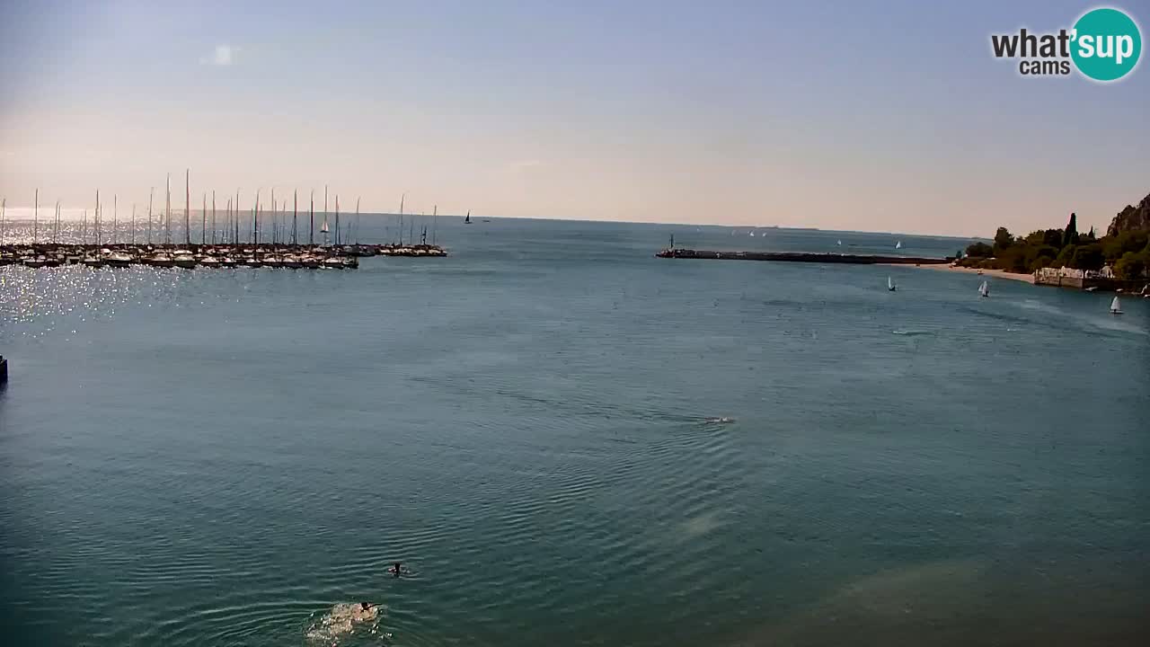 Webcam Sistiana Baia – Live View of the Marina and Gulf