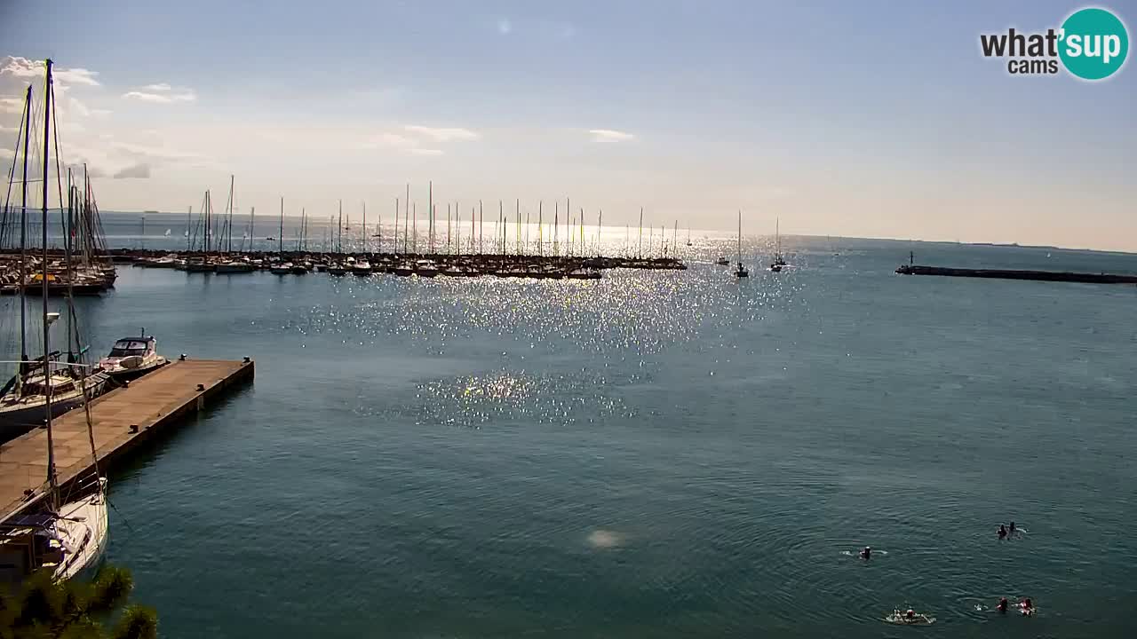 Web kamera Sistiana Uvala – Pogled uživo na marinu i zaljev