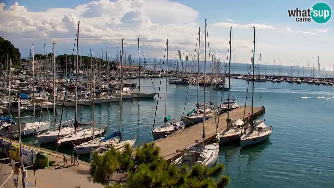 Web kamera Sistiana Uvala – Pogled uživo na marinu i zaljev