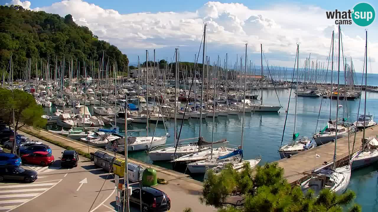 Webcam Sistiana Baia – Live View of the Marina and Gulf
