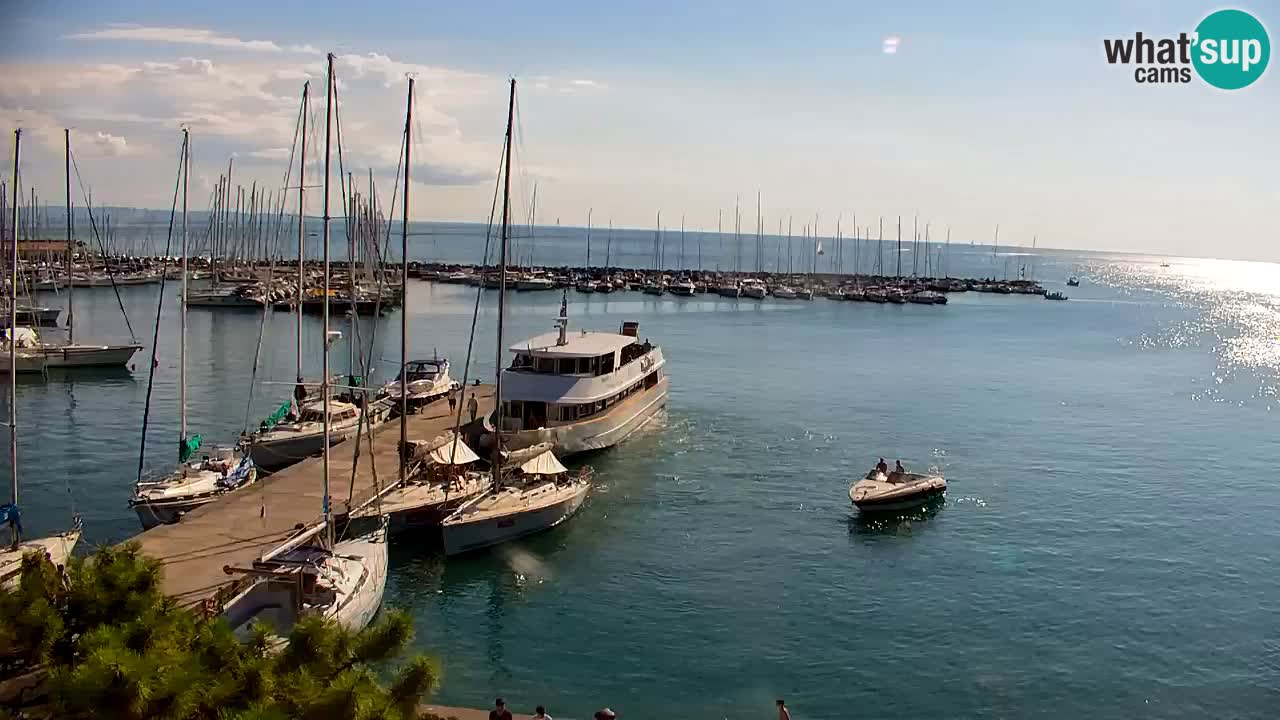 Webcam Sistiana Baia – Live View of the Marina and Gulf