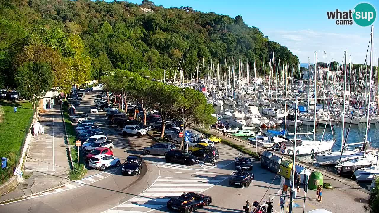 Webcam Sistiana Baia – Live View of the Marina and Gulf