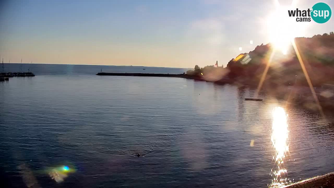 Webcam Bahía de Sistiana – Vista en directo del puerto deportivo y la costa