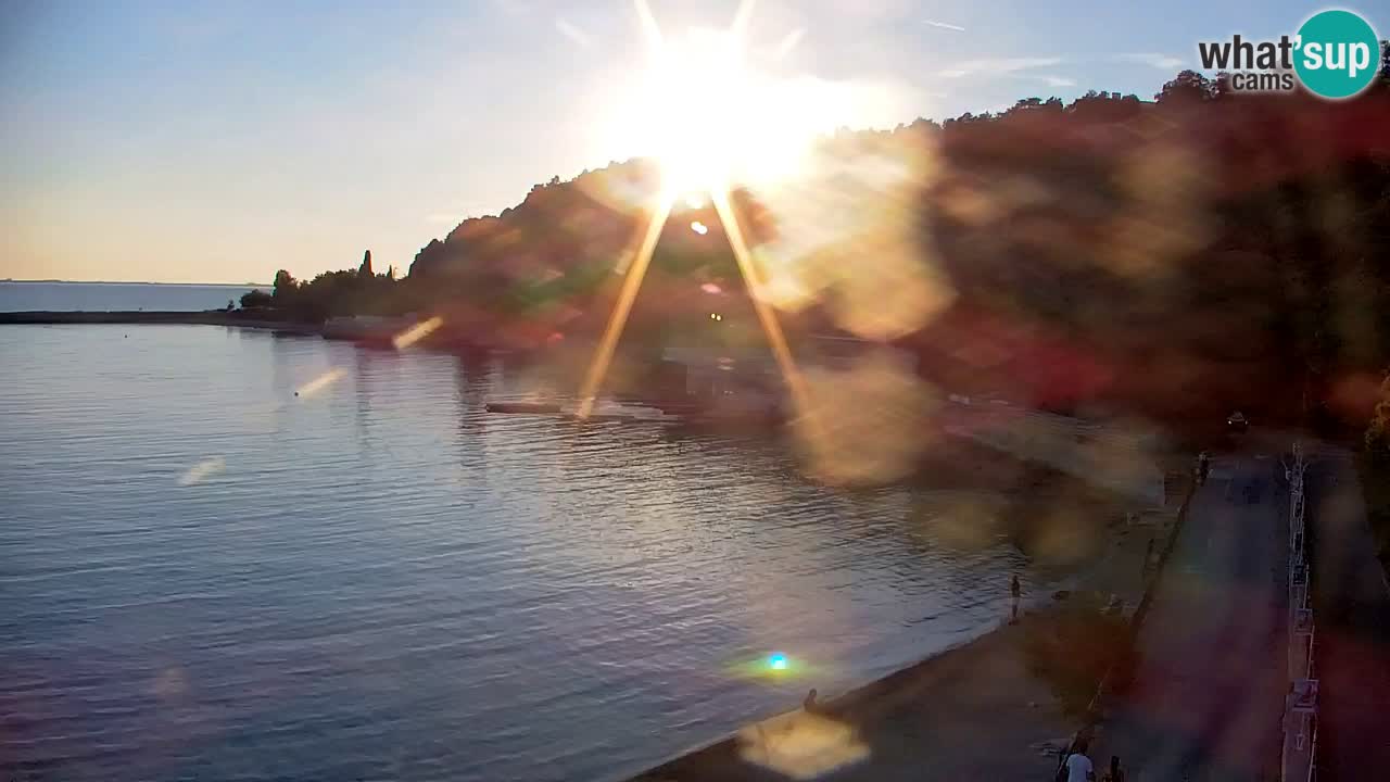 Webcam Sistiana Baia – Live View of the Marina and Gulf