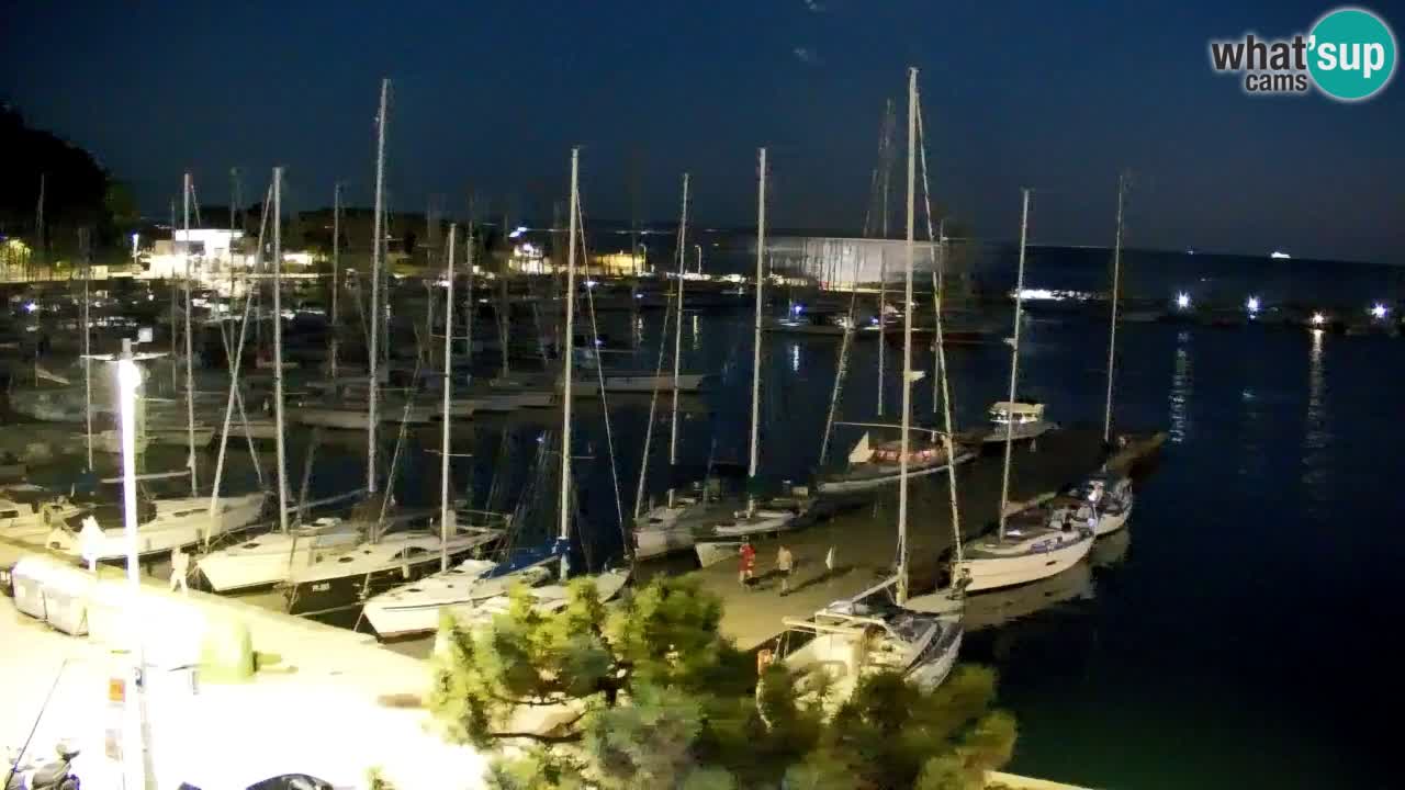 Webcam Baie de Sistiana – Vue en direct de la marina et de la baie