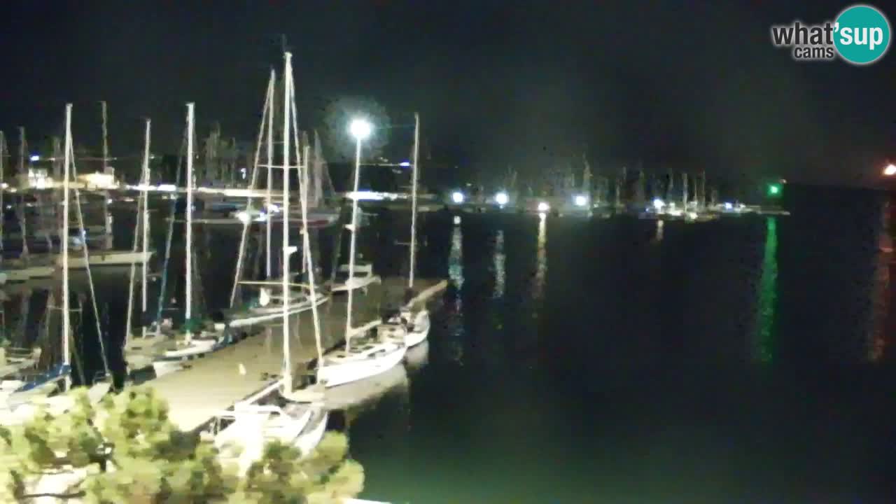 Webcam Sistiana Baia – Live View of the Marina and Gulf