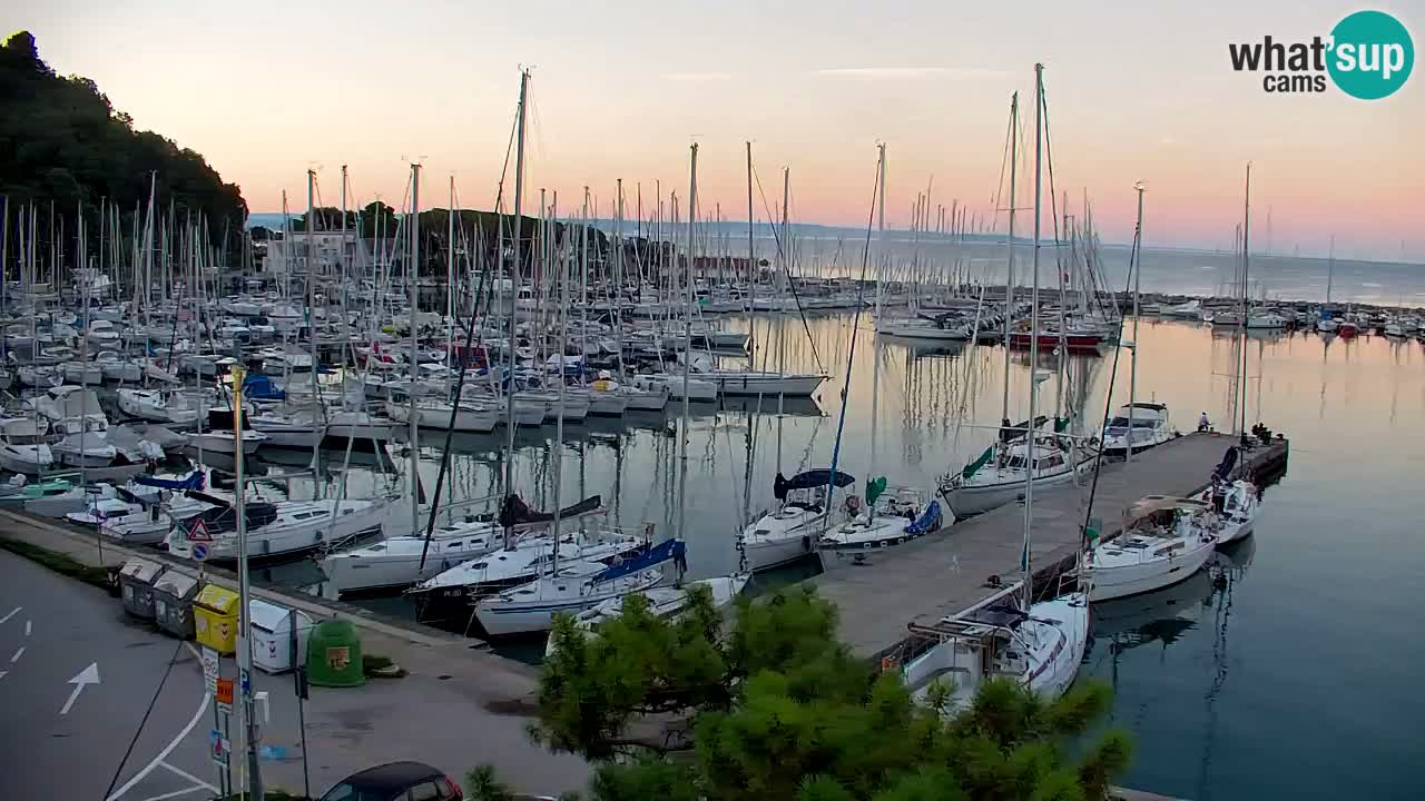 Webcam Sistiana Baia – Live View of the Marina and Gulf