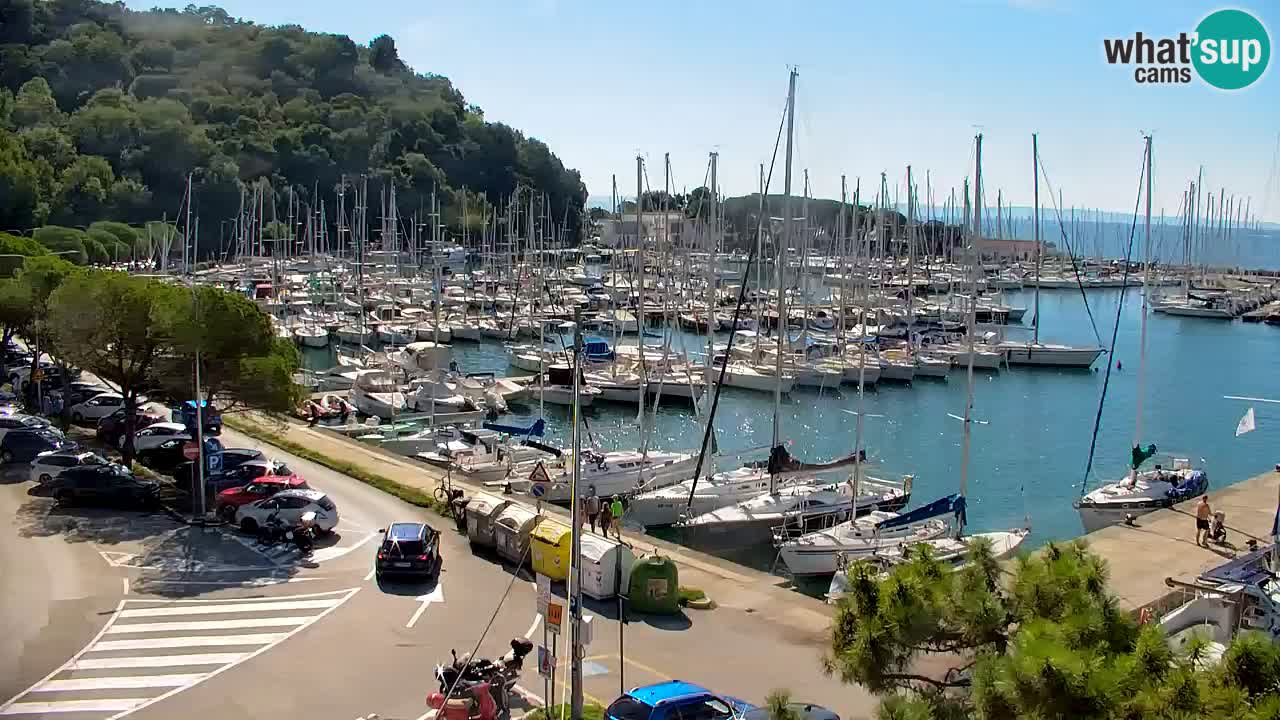 Webcam Bahía de Sistiana – Vista en directo del puerto deportivo y la costa