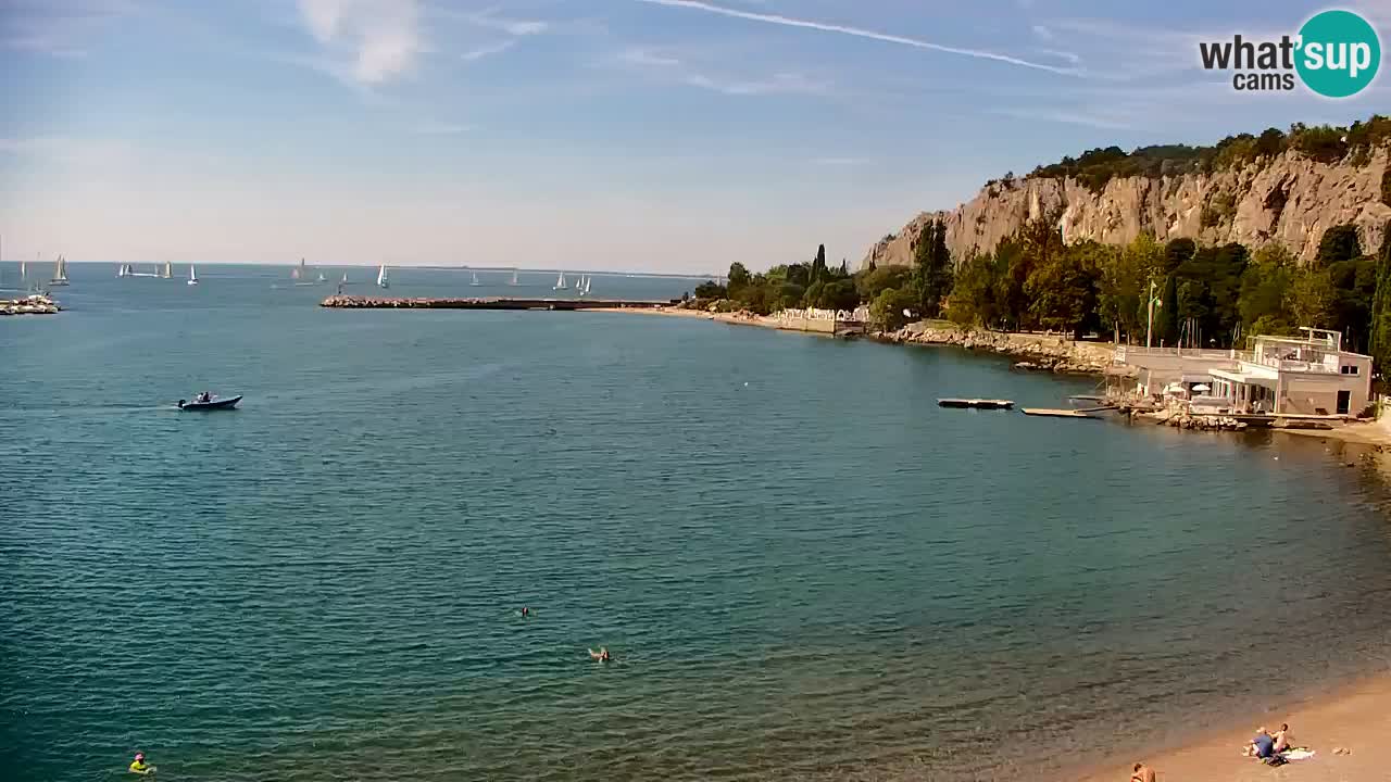 Webcam Sistiana Baia – Live View of the Marina and Gulf