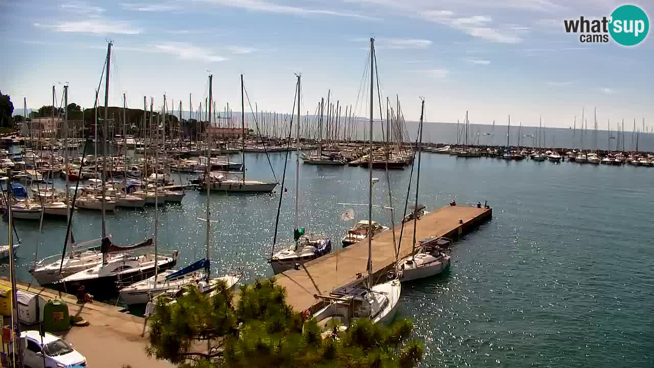 Webcam Sistiana Baia – Live View of the Marina and Gulf