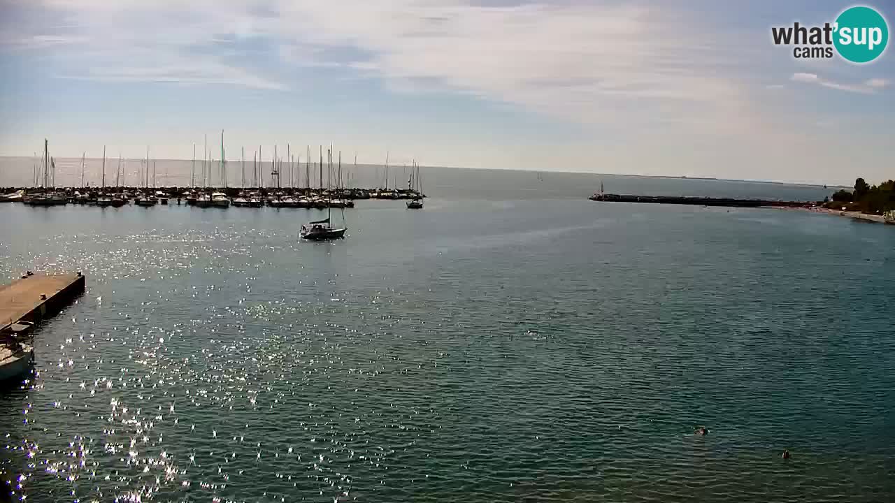 Webcam Sistiana Baia – Live View of the Marina and Gulf