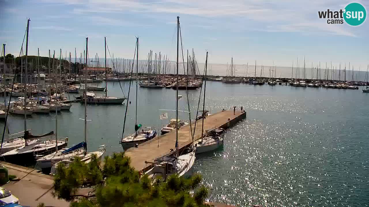 Webcam Sistiana Baia – Live View of the Marina and Gulf