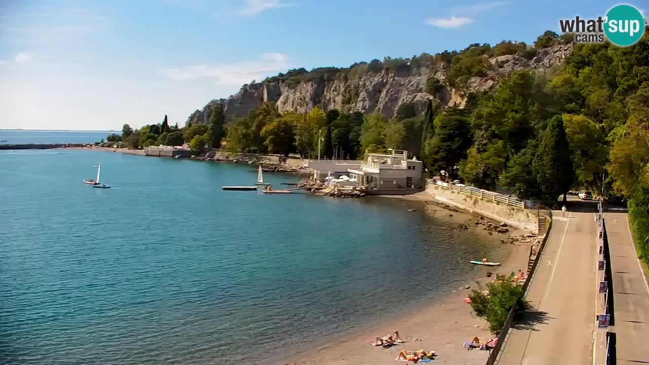 Webcam Bahía de Sistiana – Vista en directo del puerto deportivo y la costa