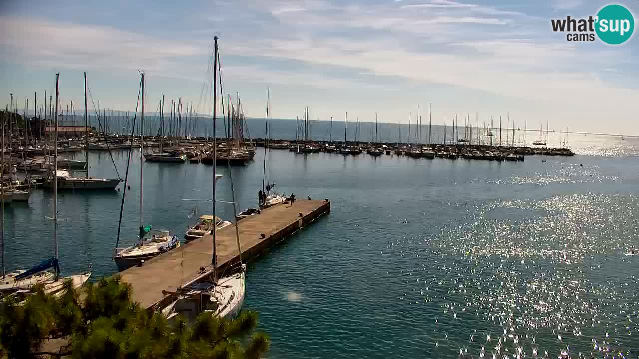 Webcam Sistiana Baia – Live View of the Marina and Gulf
