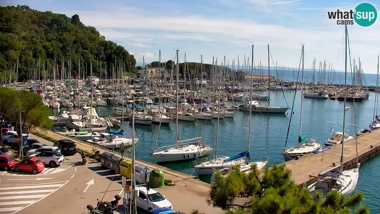 Webcam Sistiana Baia – Live View of the Marina and Gulf