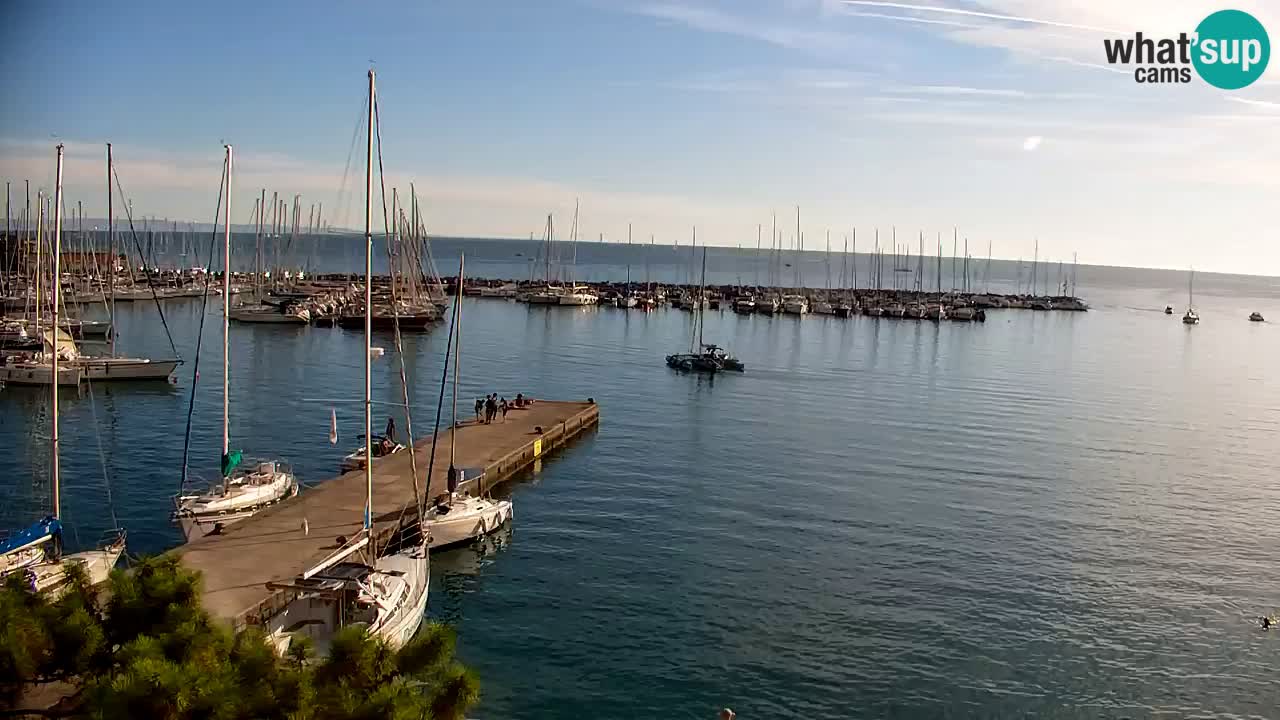 Webcam Sistiana Baia – Live View of the Marina and Gulf