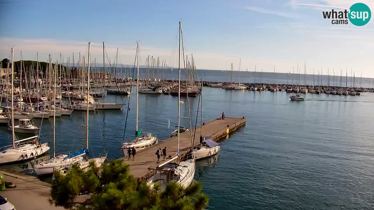 Webcam Baie de Sistiana – Vue en direct de la marina et de la baie