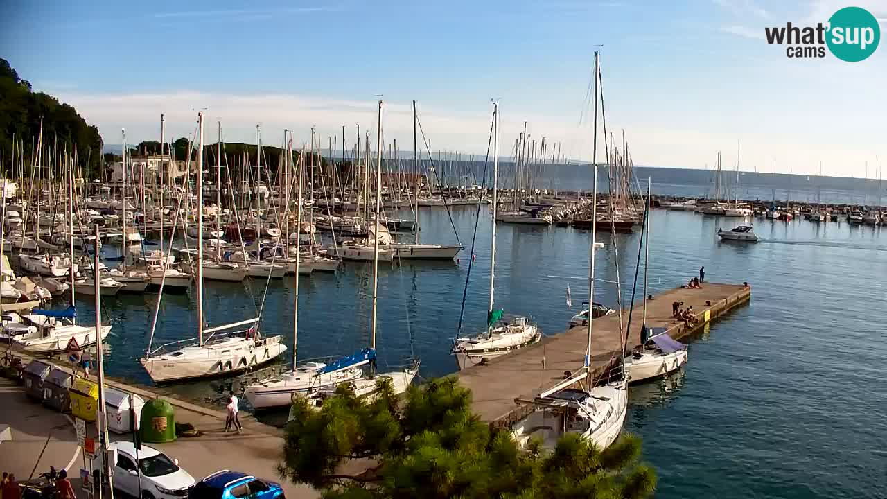 Webcam Sistiana Baia – Live View of the Marina and Gulf