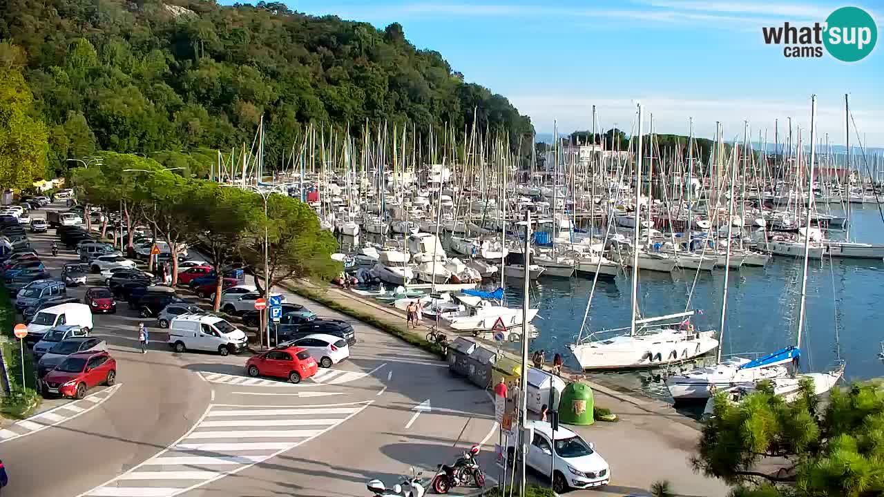 Webcam Sistiana Baia – Live View of the Marina and Gulf