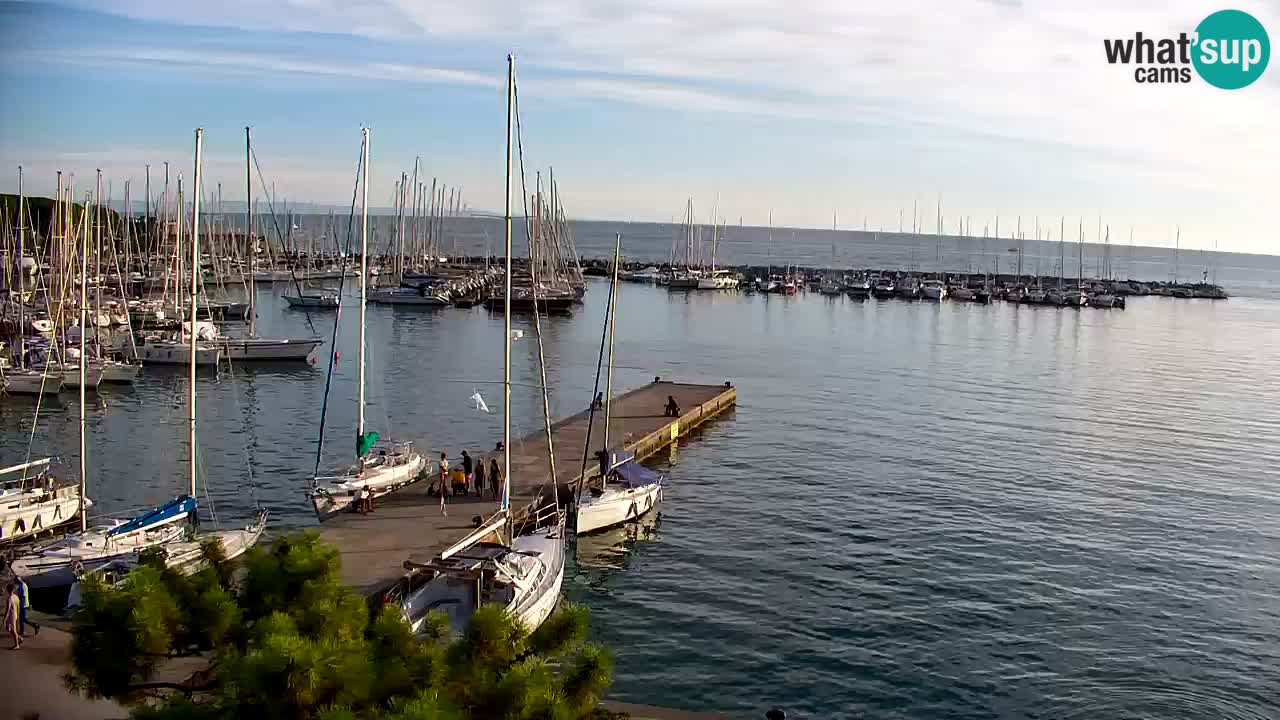 Webcam Sistiana Baia – Live View of the Marina and Gulf