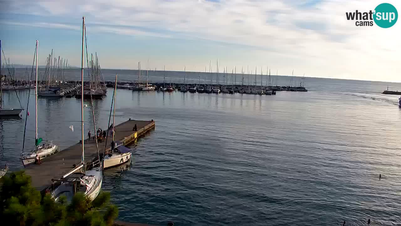 Webcam Sistiana Baia – Live View of the Marina and Gulf