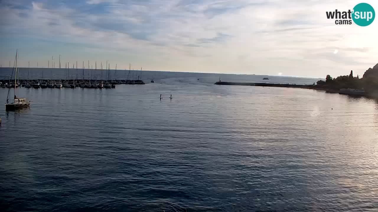 Webcam Sistiana Bucht – Liveblick auf Marina und Bucht