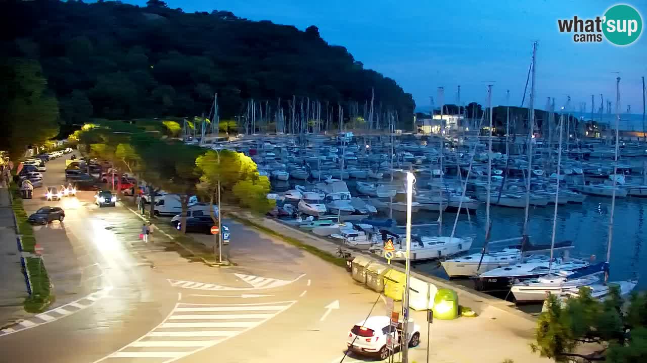Web kamera Sistiana Uvala – Pogled uživo na marinu i zaljev