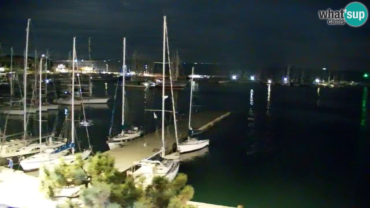 Webcam Bahía de Sistiana – Vista en directo del puerto deportivo y la costa