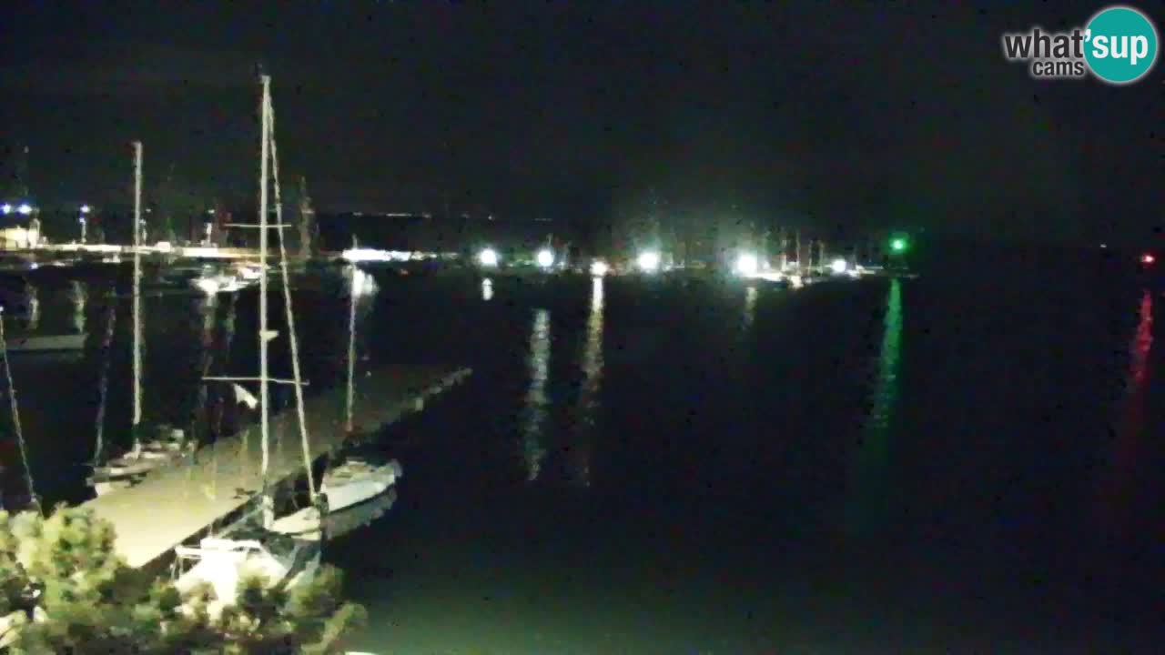 Webcam Sistiana Baia – Live View of the Marina and Gulf