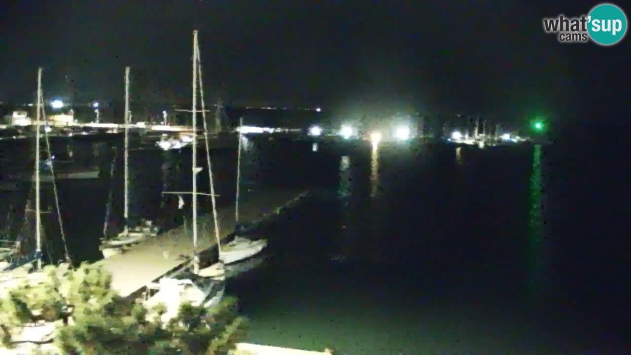 Webcam Sistiana Baia – Live View of the Marina and Gulf