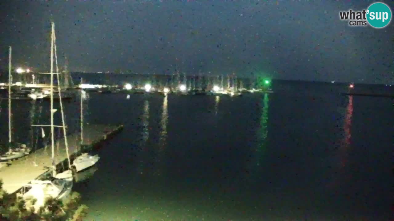 Webcam Sistiana Baia – Live View of the Marina and Gulf