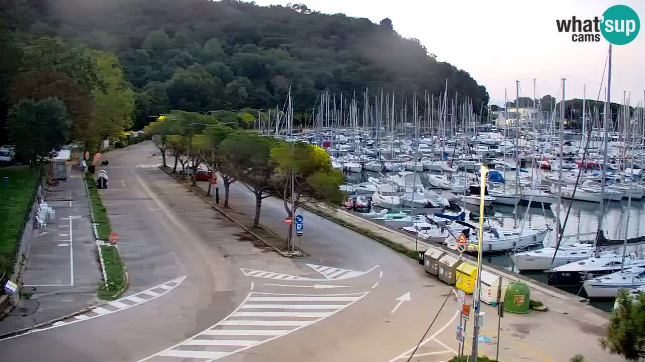 Webcam Sistiana Baia – Live View of the Marina and Gulf