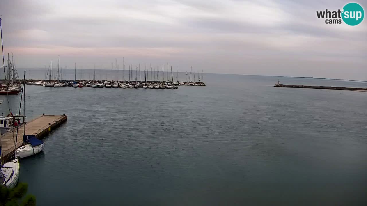 Webcam Sistiana Bucht – Liveblick auf Marina und Bucht