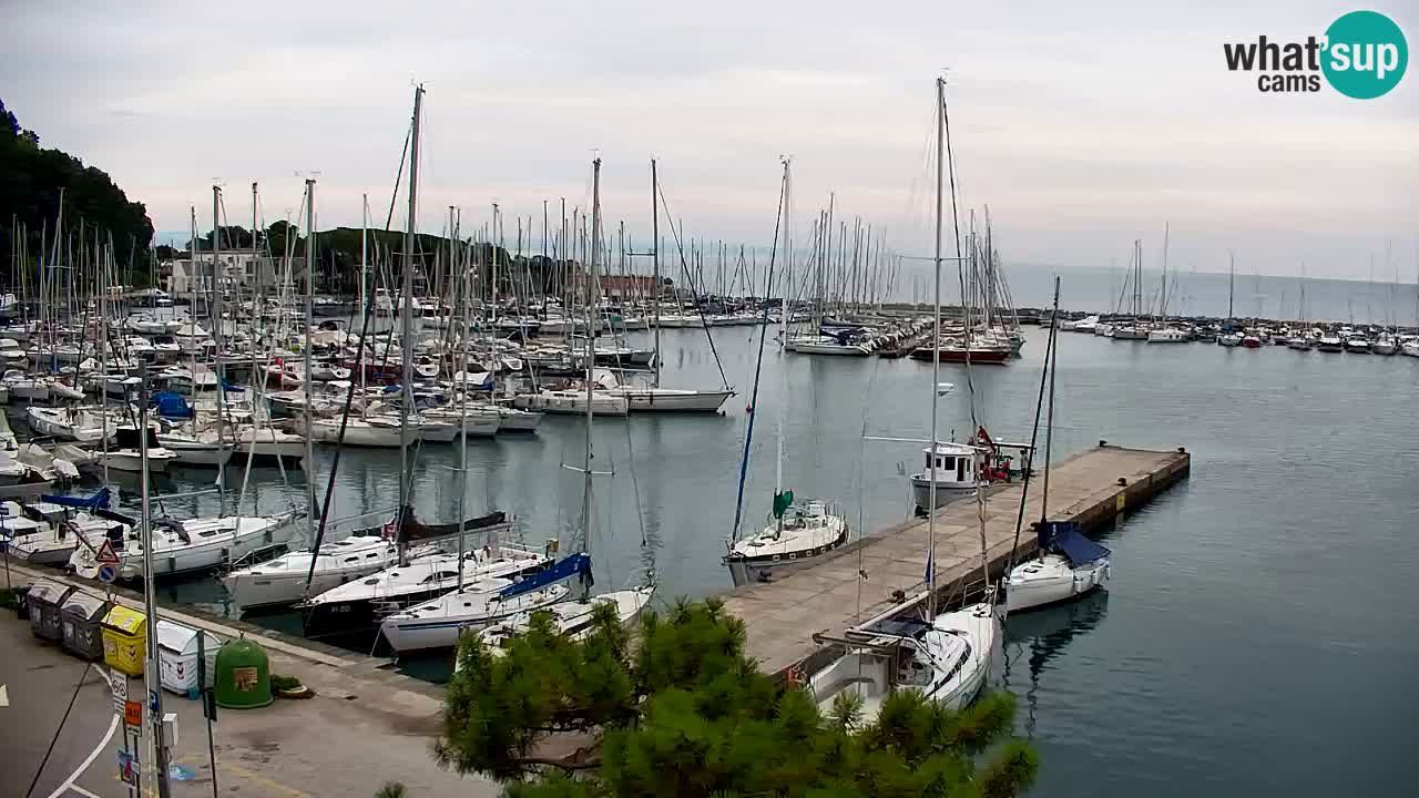 Webcam Sistiana Baia – Live View of the Marina and Gulf