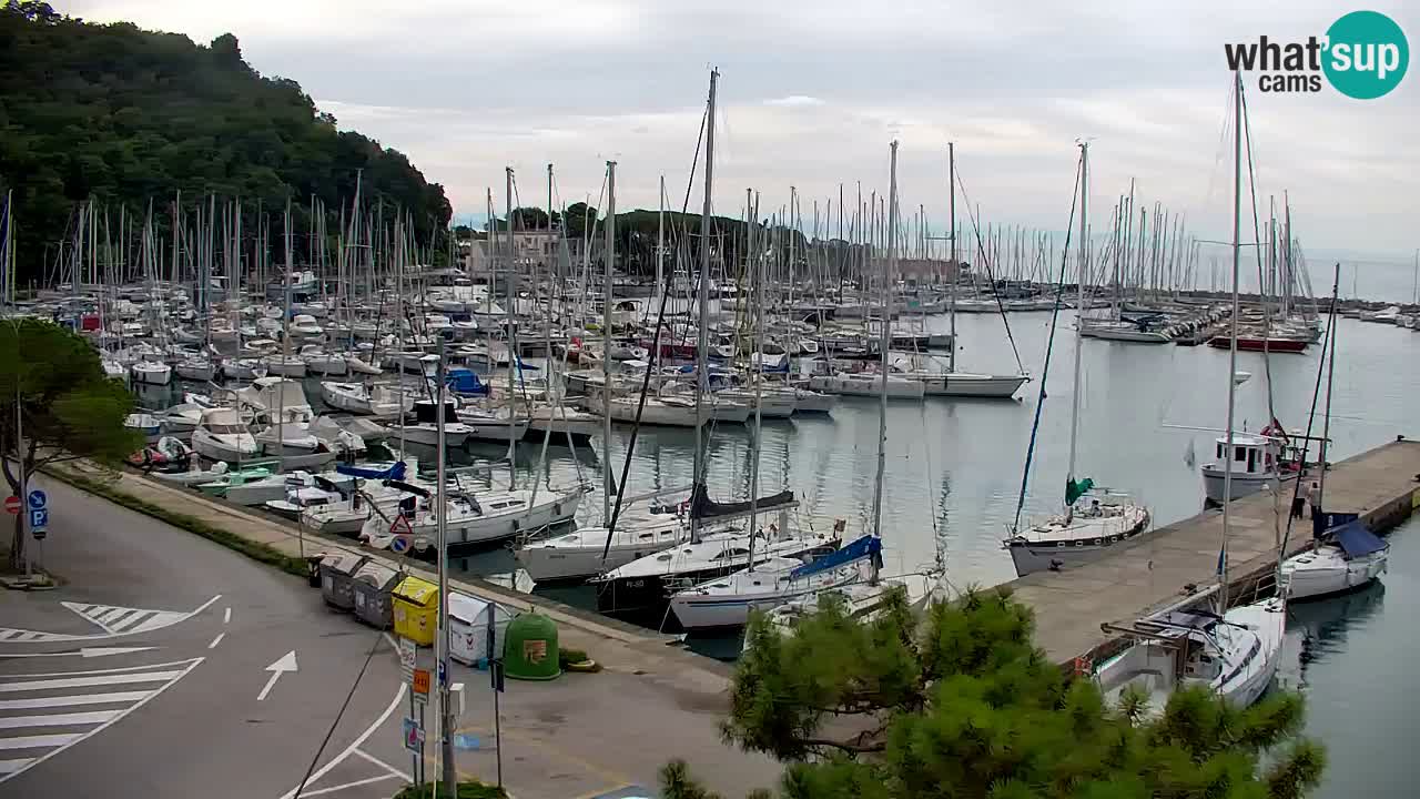 Webcam Bahía de Sistiana – Vista en directo del puerto deportivo y la costa