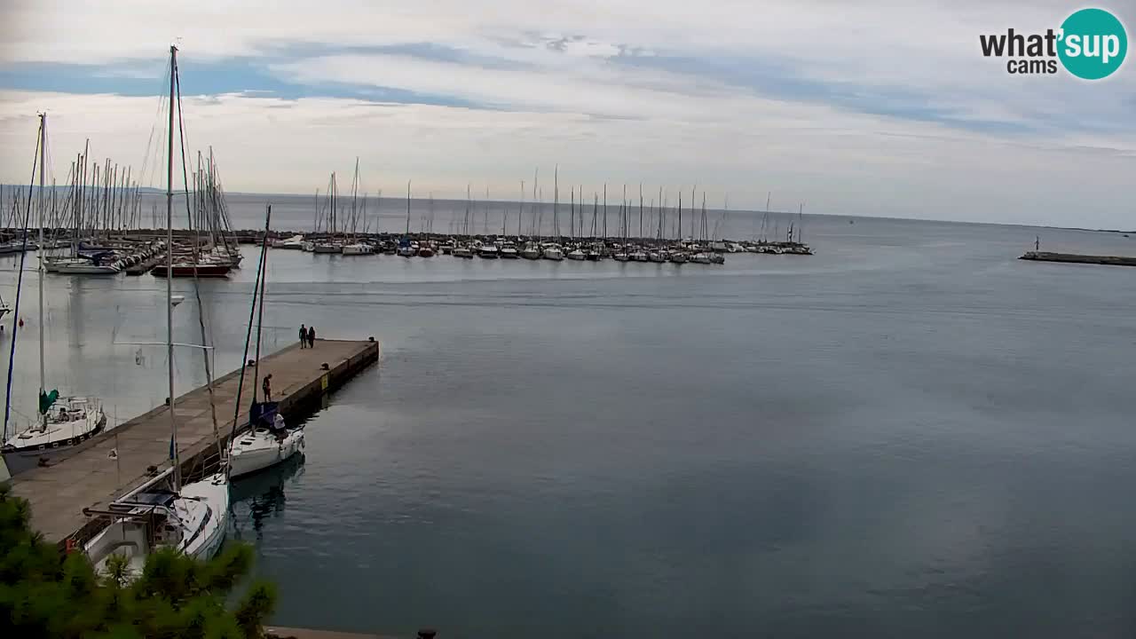 Webcam Sistiana Baia – Live View of the Marina and Gulf