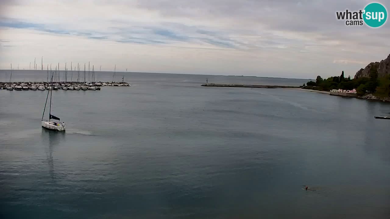 Spletna kamera Sesljanski zaliv – Pogled v živo na marino in zaliv