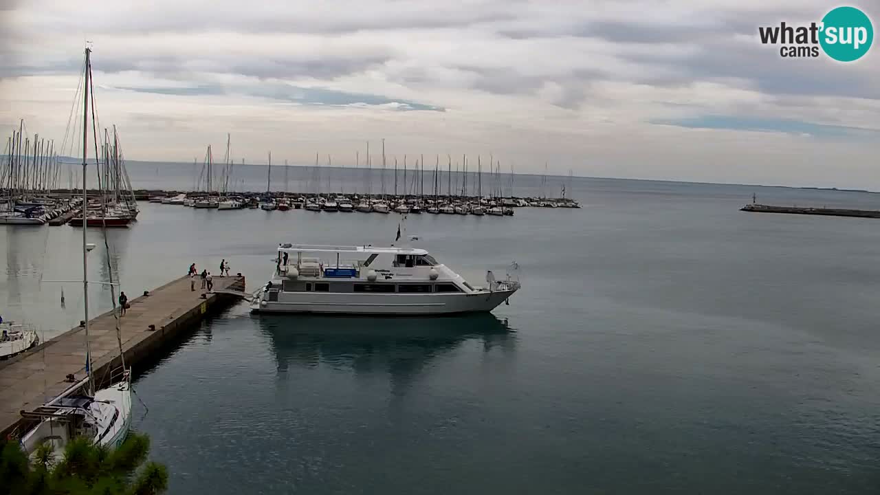 Webcam Sistiana Bucht – Liveblick auf Marina und Bucht